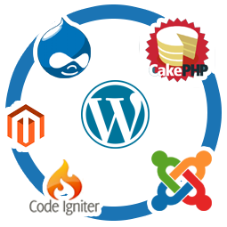 CMS and Open Source Customization